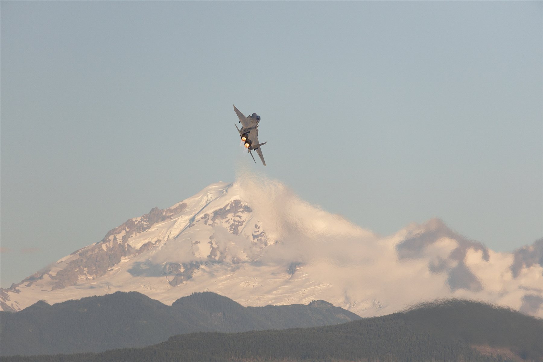 Wildlife and nature photography by Chris Cook