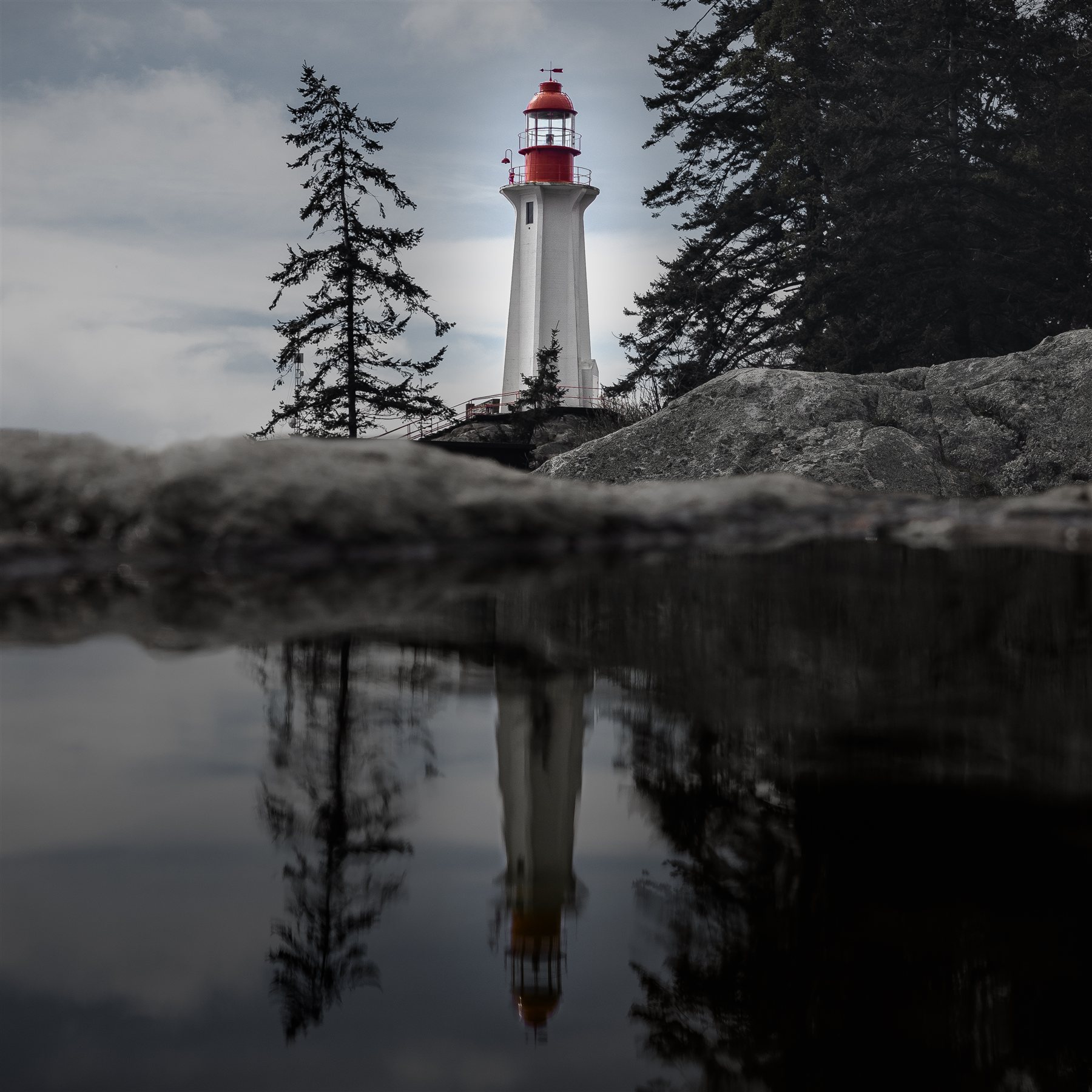 Wildlife and nature photography by Chris Cook